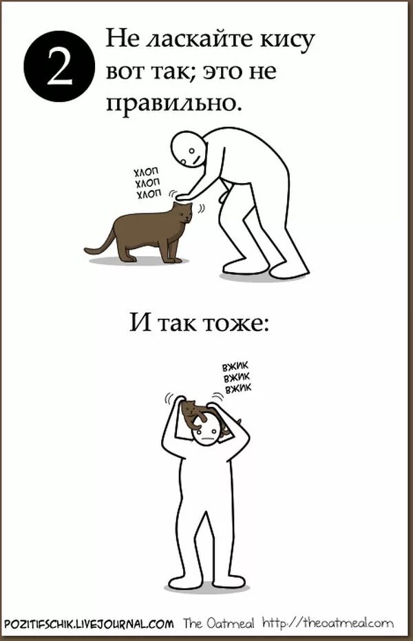 Инструкция по лизанию. Кошка гладит собаку. Как гладить кошку. Как правильно гладить кошку. Как себя приласкать.
