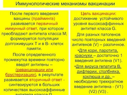 Усиливает иммунный ответ
