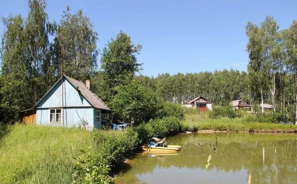 Платная рыбалка береговой. Рыбалка у Филиппыча Владимирская область. Владимирской области на пруду «у Филиппыча». Филиппыч. У Филиппыча, база отдыха.