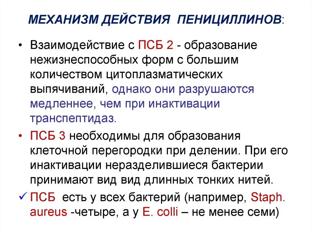 Пенициллины действуют