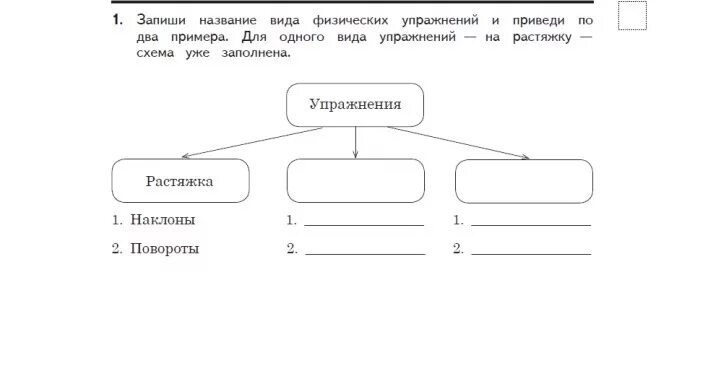 Запишите название. Название видов физических упражнений и приведите по 2 примера.