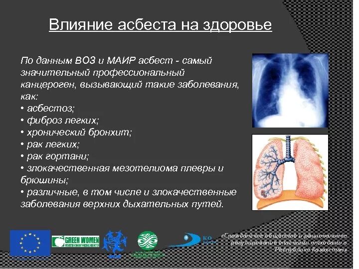 Асбестовая пыль влияние на организм. Воздействие асбеста. Опасность асбеста для здоровья человека. Воздействие асбеста. Воздействие асбеста.