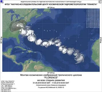 Медикан циклон где сейчас