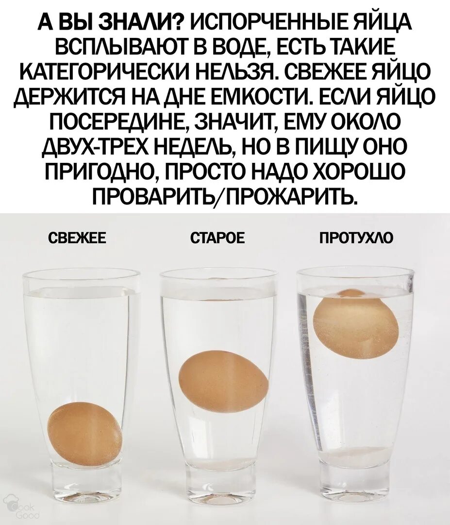 Неприятен запах яиц. Яйцо всплывает. Если яйцо всплывает в воде. Если свежее яйцо всплывает. Сырое яйцо всплывает.