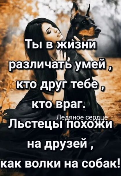 И не враг а так песня. Кто друг кто враг кто просто. лишь время нам дает понять кто друг кто враг. лишь время нам дает понять кто друг кто враг кто просто так. кто друг кто враг кто просто так картинки.