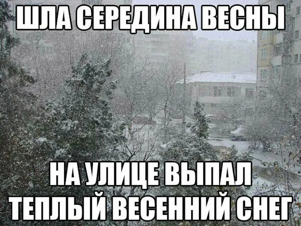 Сегодня снег пришел. Шутки про снежную весну. Приколы про зиму. Шутки про зиму и весну. Шутки про снег весной.