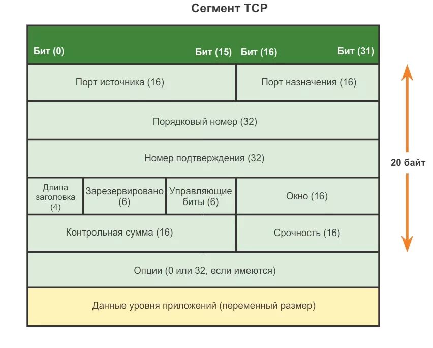 Tcp является протоколом. TCP протокол структура. Структура сегмента TCP. Формат TCP сегмента. Заголовок сегмента TCP.