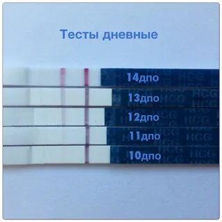 Тесты по дням после овуляции