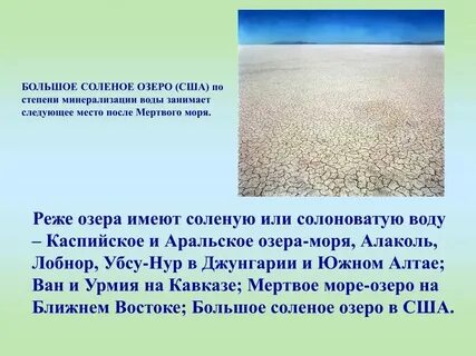 Болото пресная вода или соленая