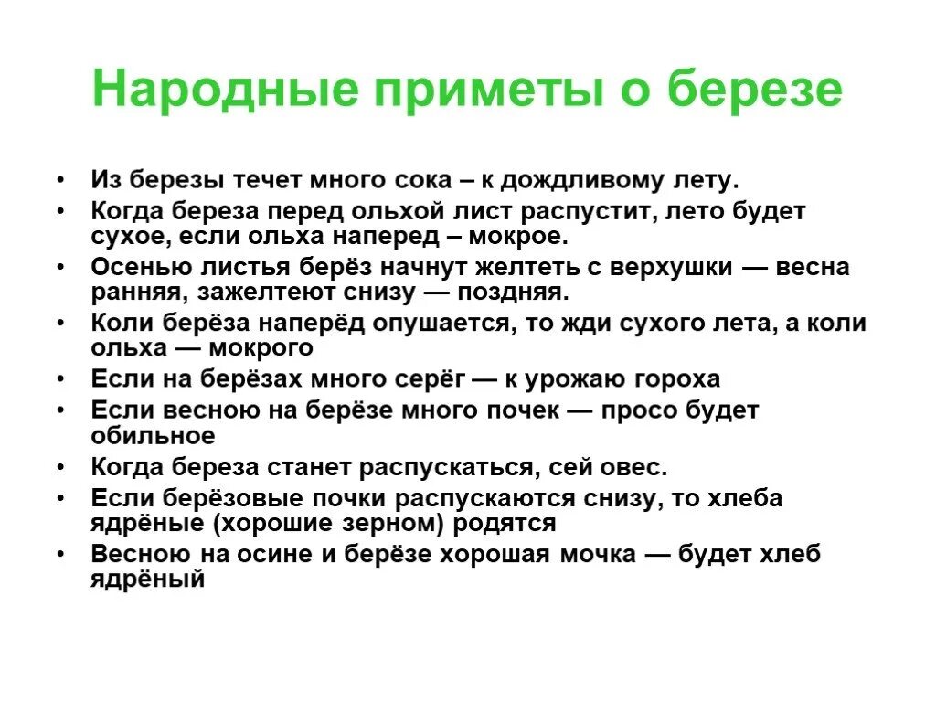 Народные приметы. Народные приметы о Березе. Народные приметы связанные с березой. Приметы о Березе для детей.