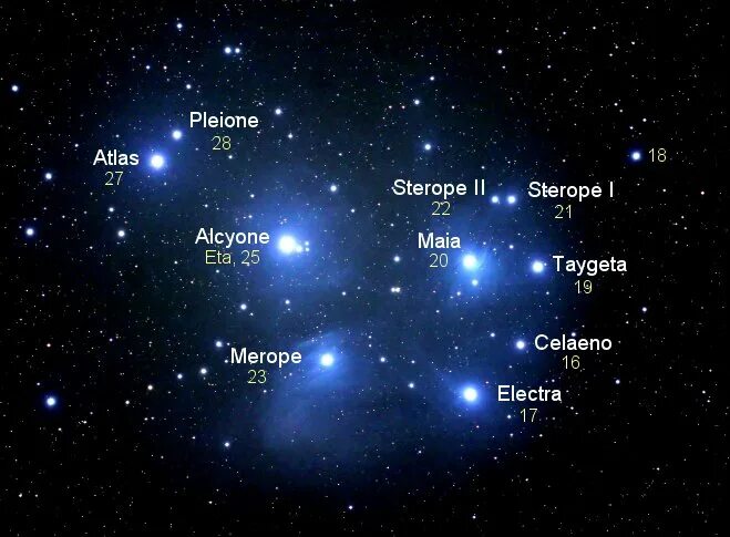 Созвездие звезды плейона. Созвездие Плеяды. Созвездие Плеяды Стожары. Альциона звезда Плеяды. Плеяда Созвездие 7 сестёр.