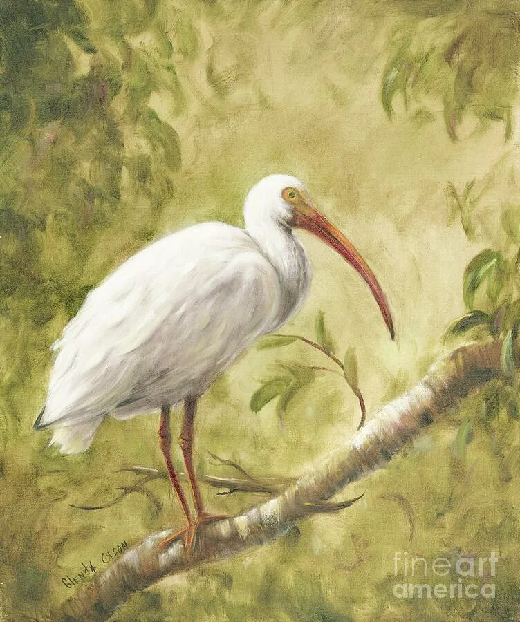 Ibis paint window. Ибис арт. Ибис рисование. Рисунки в ибисе. Арты из Ибиса.