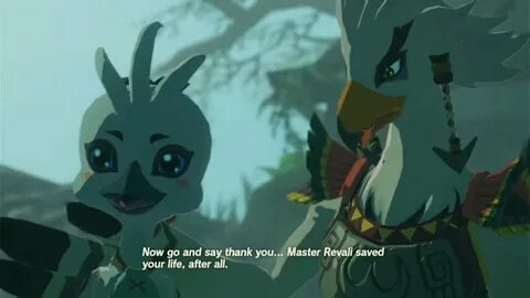 Ok two bird searching for Hyrule Forest then there little Child Tulin surro...