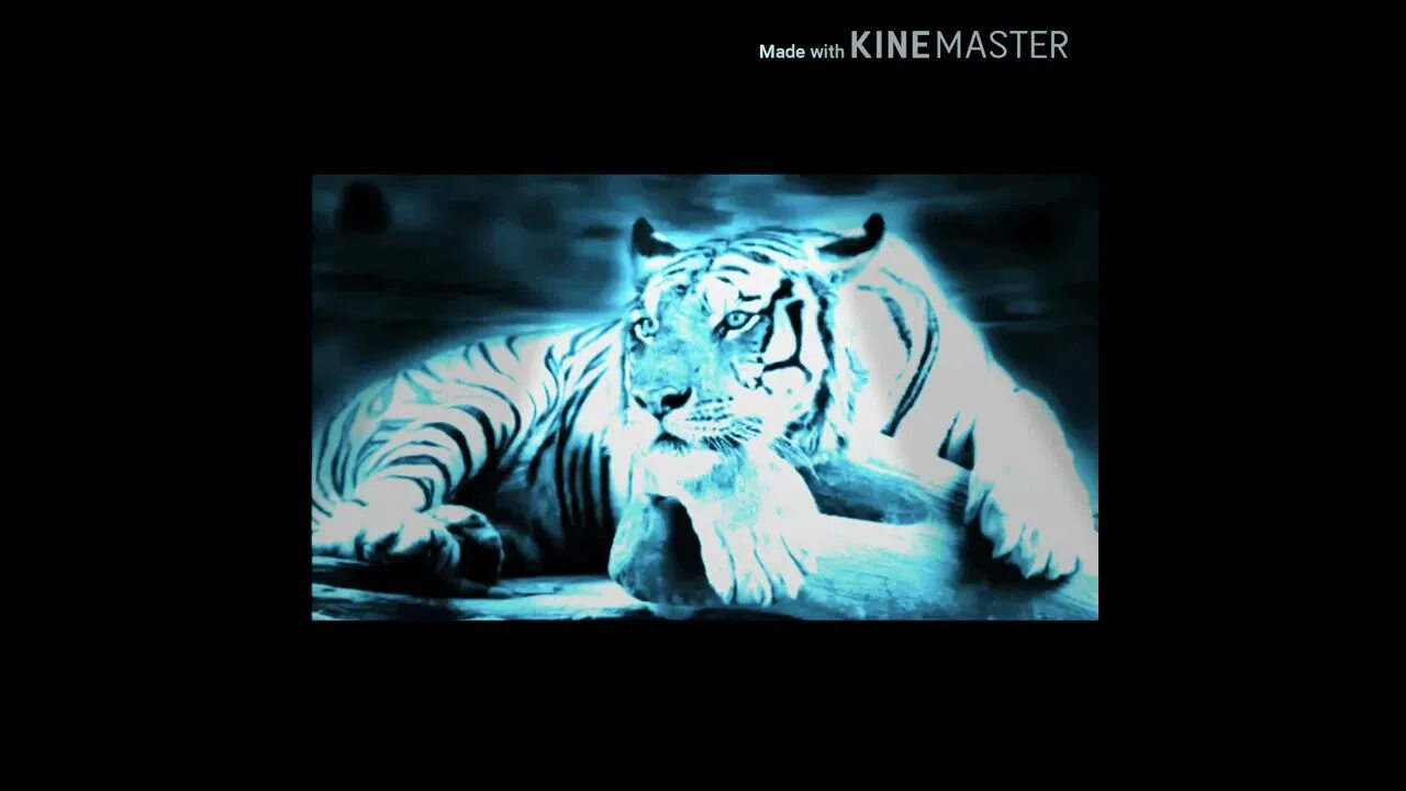 Первая буква macan текст. Macan 12 обложка. macan stories картинка. macan альбом. macan stories.