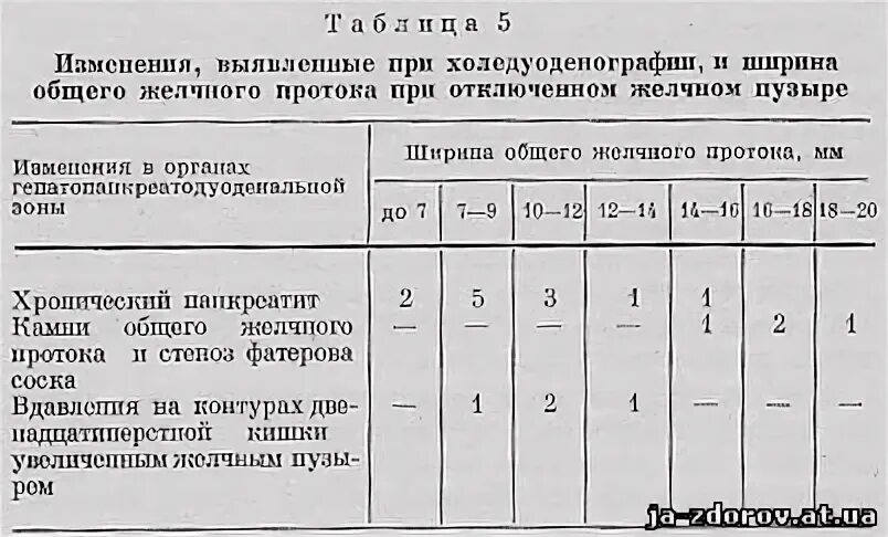 Желчный размеры норма