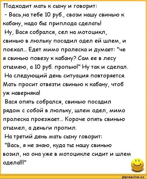 Почему вася отказывался покупать поросят в начале. Анекдот про свинью. Анекдоты про поросят. Анекдоты про свинок. Анекдот поросенок в люльке.