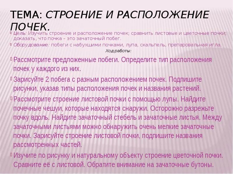 Лабораторная работа строение почки. Лабораторная работа почка. лабораторная работа строение почек расположение почек на стебле. лабораторная работа строение и расположение почек. лабораторная работа изучение строение почек..