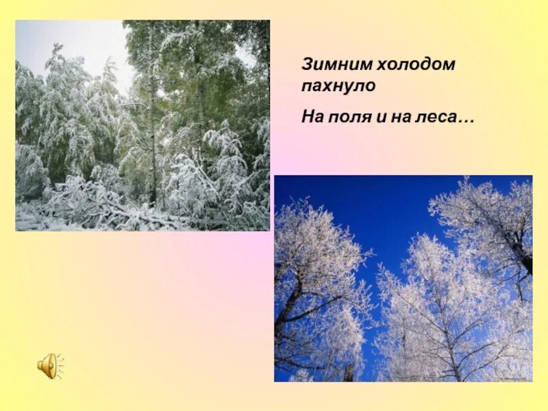 Зимним холодом пахнуло на леса. Зимним холодом пахнуло на поля и на леса. зимой холодом пахнуло. сочинение краски зимнего леса. сочинение на тему зима.