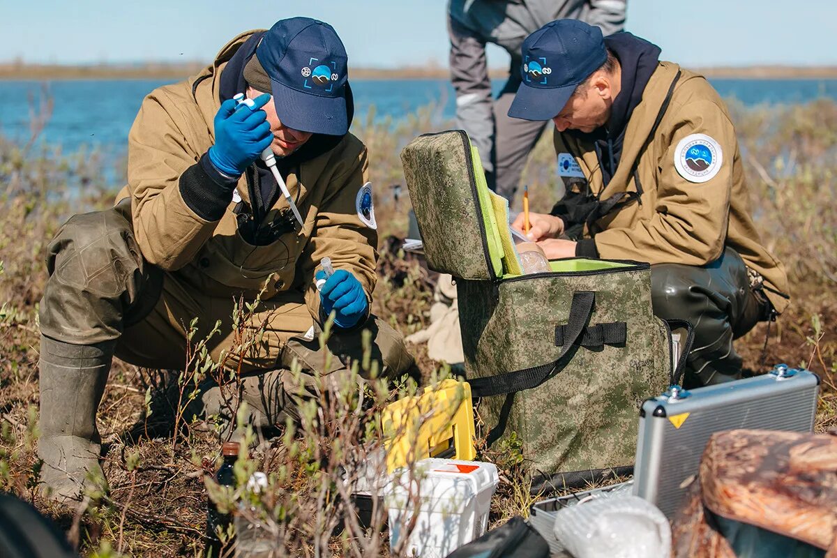 В этом городе завершилась экспедиция проводившаяся. Большая Норильская Экспедиция. Полевая Экспедиция. Полевой этап. Этапы полевого экспедиционного исследования.