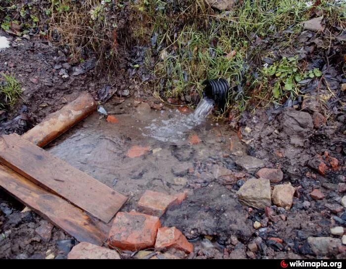 родник петербург. родник в александровском парке. родник в спб. грот родник царское село. родник старое выборгское шоссе.