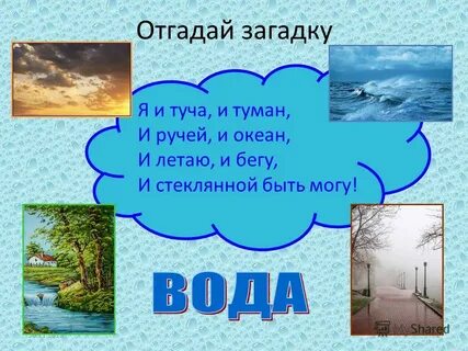 Загадки ручей