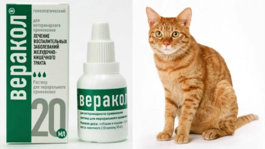 Можно ли кошке обезболивающее. Веракол капли для кошек. Препараты для пищеварения для кошек. Препарат для кошек для кишечника. Препараты для желудка у кошек.