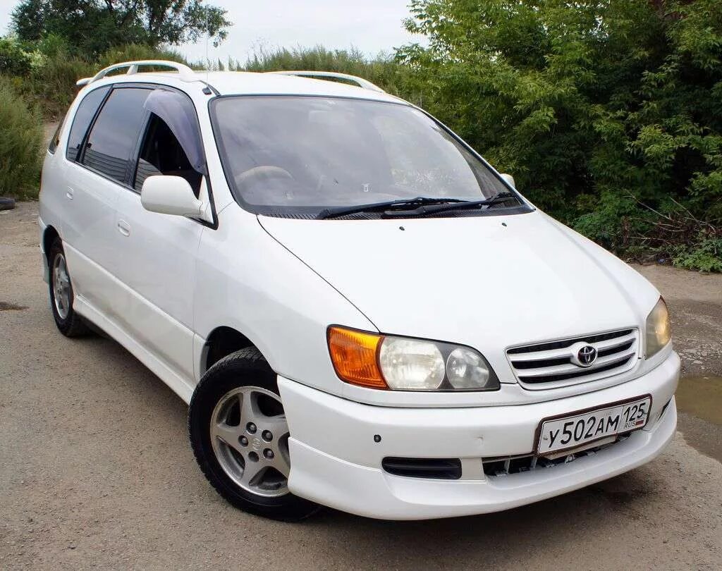Ипсум. Тойота ипсум 2000. toyota ipsum 2001. тойота ipsum 1996. тойота ипсум тойота ипсум.