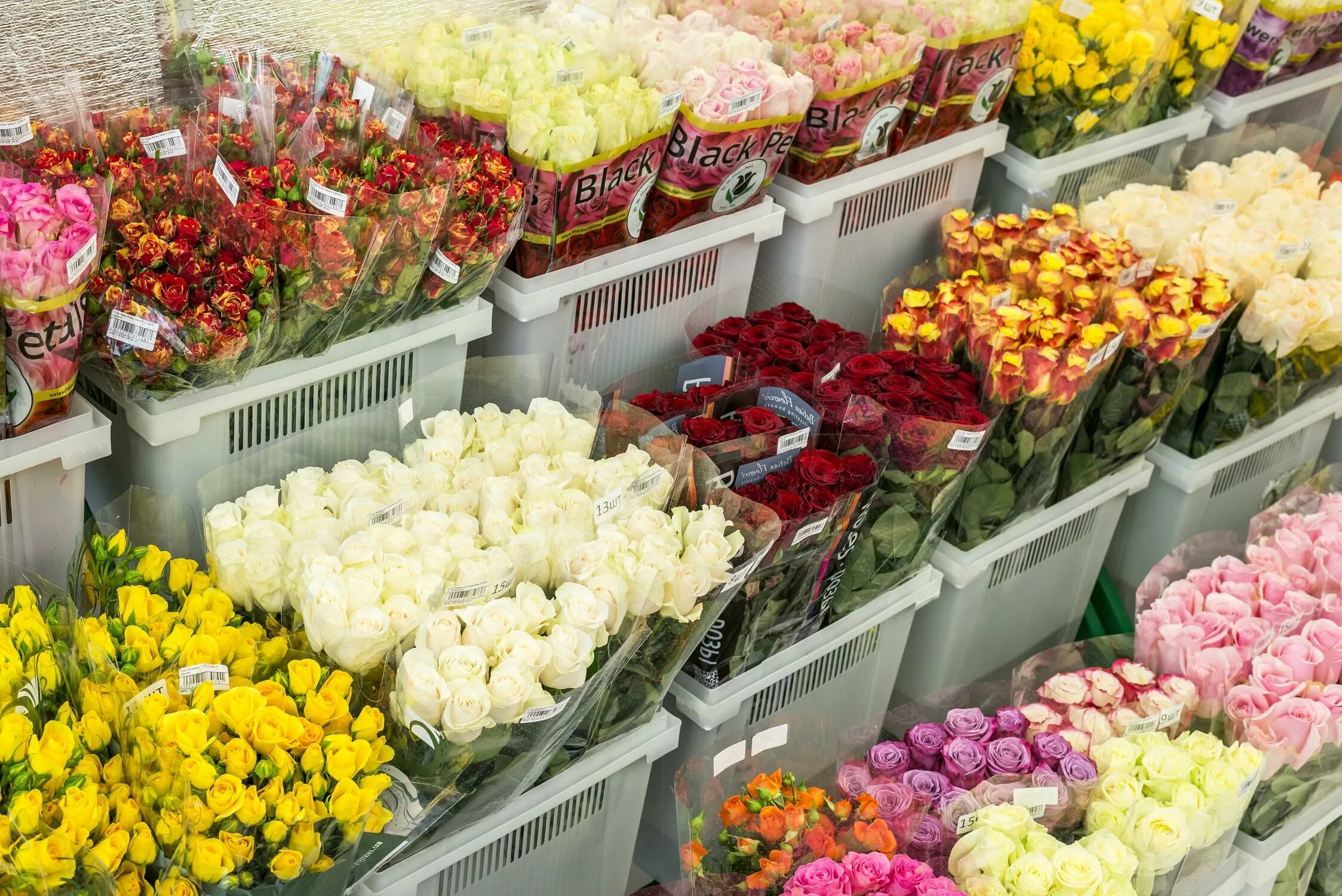 Первый оптовый склад магазин. Оптовая база цветов. Оптовые базы цветов. Оптовый склад цветов. Цветочная база розы.