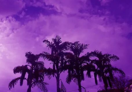 Purplepowerhouse Leaked - Purple OnlyFans