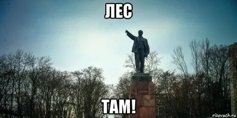 Мы ходили в лес там
