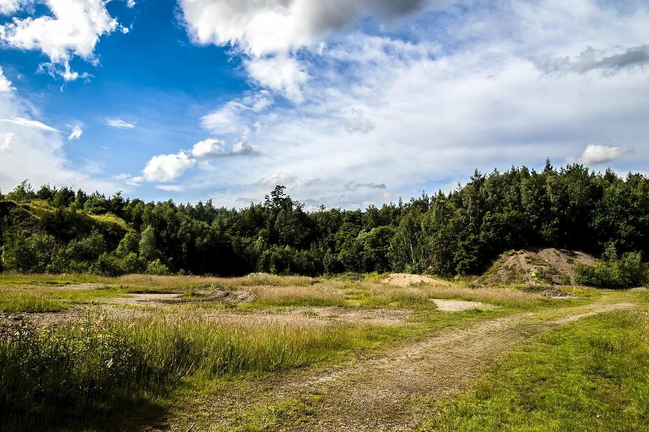 Вдали лесной. Панорама поля и леса. Панорама леса. Лес вдали. Лес панорама.