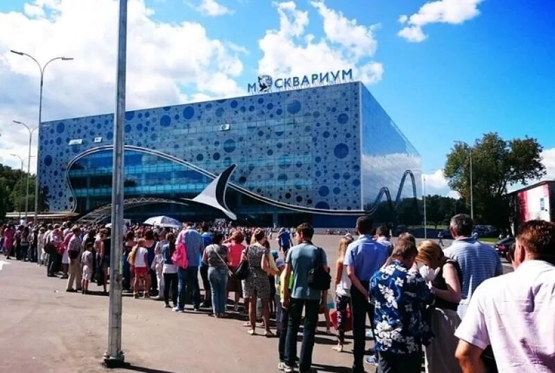 Фотовыставка «океан в городе». Тоннель гирлянд на вднх. Океанариум москва вднх метро. Парк вднх москвариум. Аквариум вднх вднх.