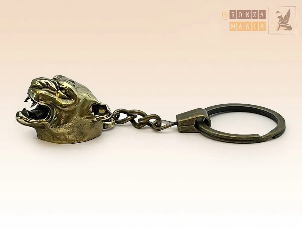 Jaguar ez-7 брелок. Брелок Jaguar Leaper Keyring, Rhodium Silver, 2018, артикул jdkr927sla. Ягуар брелок 308. Брелок для ключей Ягуар. Купит брелок ягуар