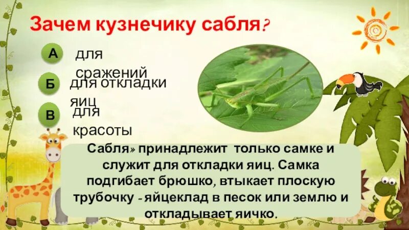 Кузнечик. Смешные слова на украинском кузнечик. Кузнечик по украински разговорный. Как на украинском будет кузнечик и стрекоза. Кузнечик по украински разговорный.