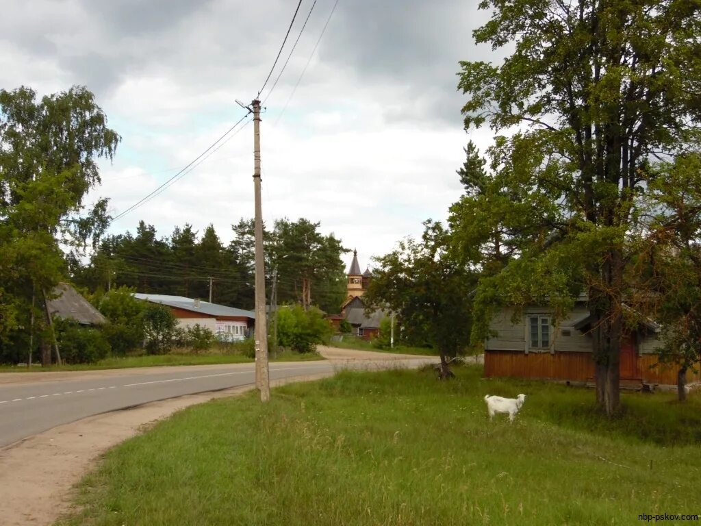 погода в идрице по опочке