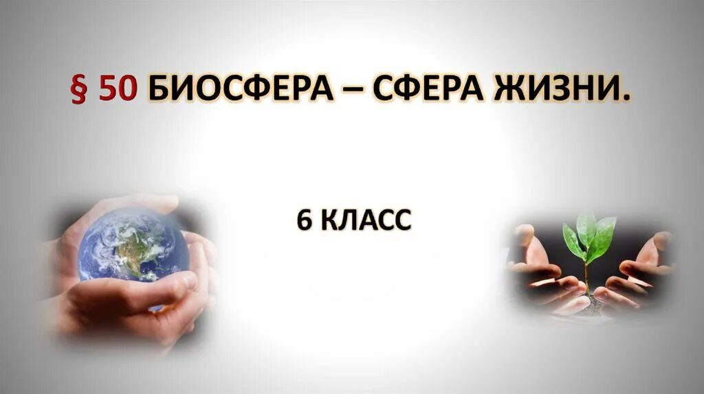 Биосфера параграф по географии 6 класс. Биосфера. Биосфера сфера жизни. Биосфера сфера жизни 6 класс. Биосфера сфера жизни 6 класс география презентация.