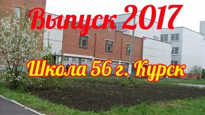 Школа 56. Шк56 Курск. Школа номер 56 Курск. Школа 56 Курск фото.