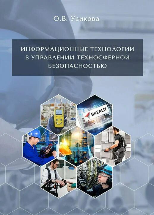 Информационные технологии в техносферной безопасности. Управление техносферной безопасностью. Учебник по информационным технологиям. Структура системы обеспечения техносферной безопасности. Обучение техносферная безопасность дистанционно