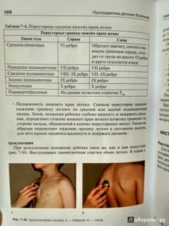 Подвижность нижнего края