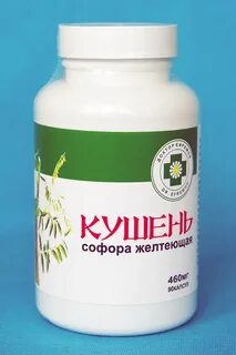 Софора желтеющая