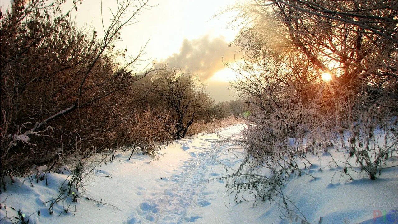 Морозное солнечное утро. Фото пейзаж солнце иней в лесу. Очень красивое зимнее утро в лесу 20 февраля 2024. Пейзаж зимний иней тропинка город фото. Доброе снежное мартовское утро