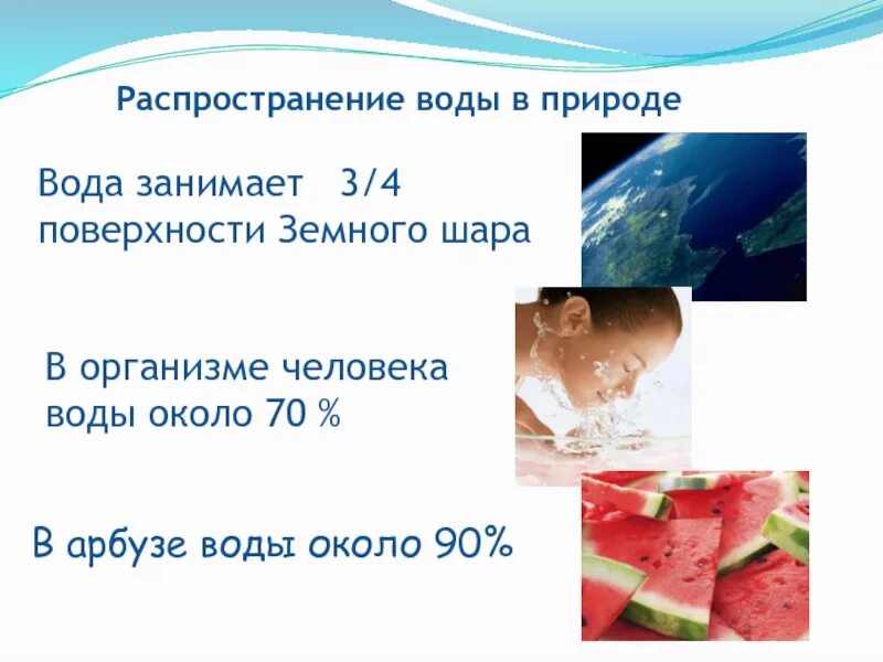 95 процентов воды. Распространение воды в природе. Распространение воды в организме. Вода занимает 3/4 поверхности земного шара. Вода занимает ¾ земной поверхности..