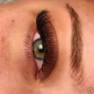 Лис реснички