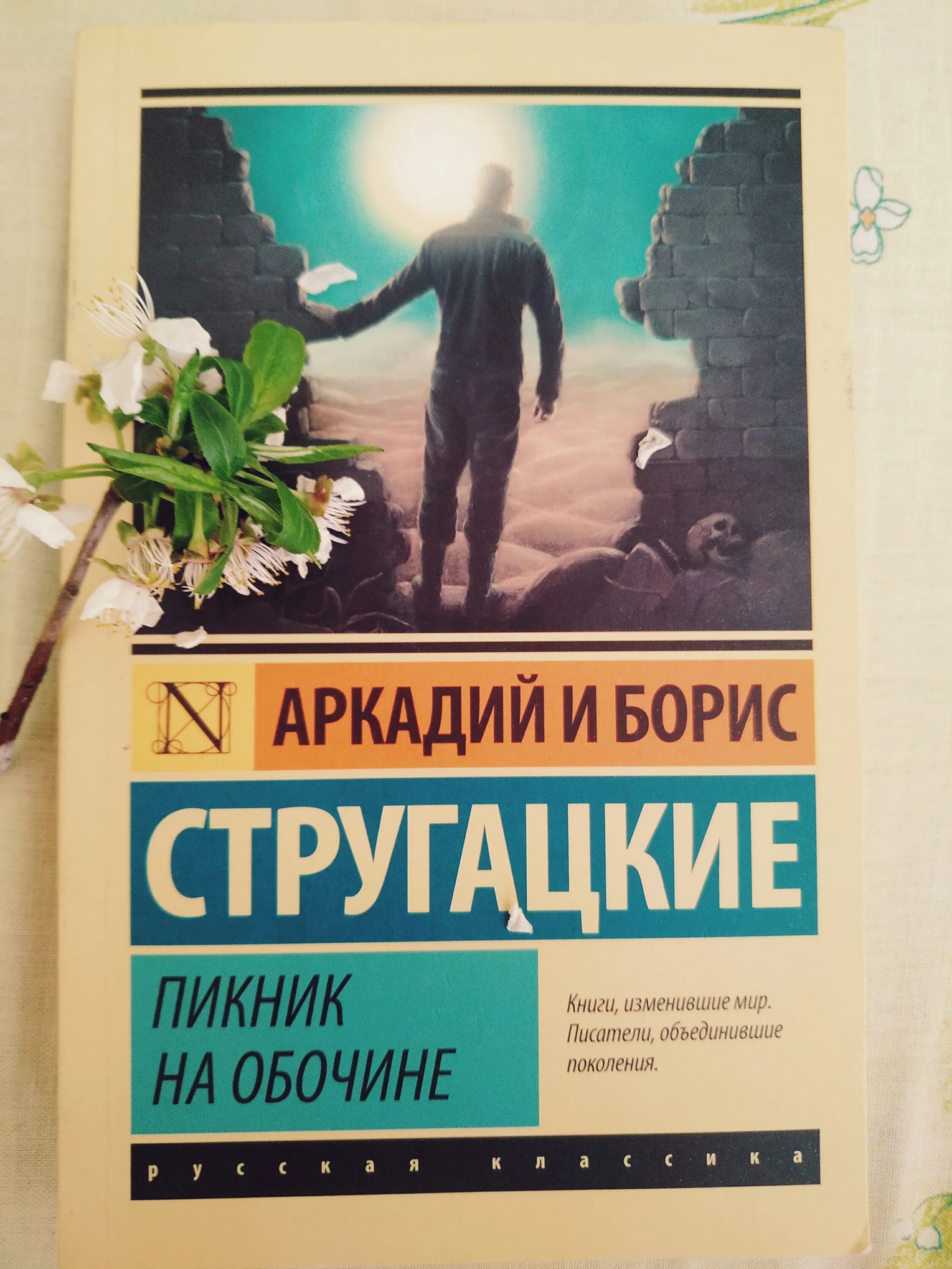 А н стругацкий произведения. Братья Стругацкие пикник.