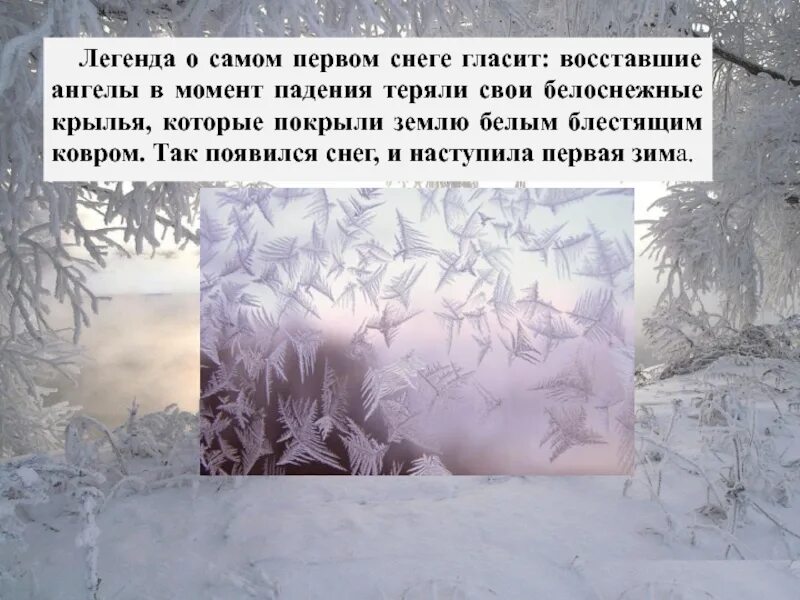 1 предложение белого снега