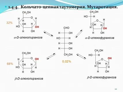 Циклические реакции