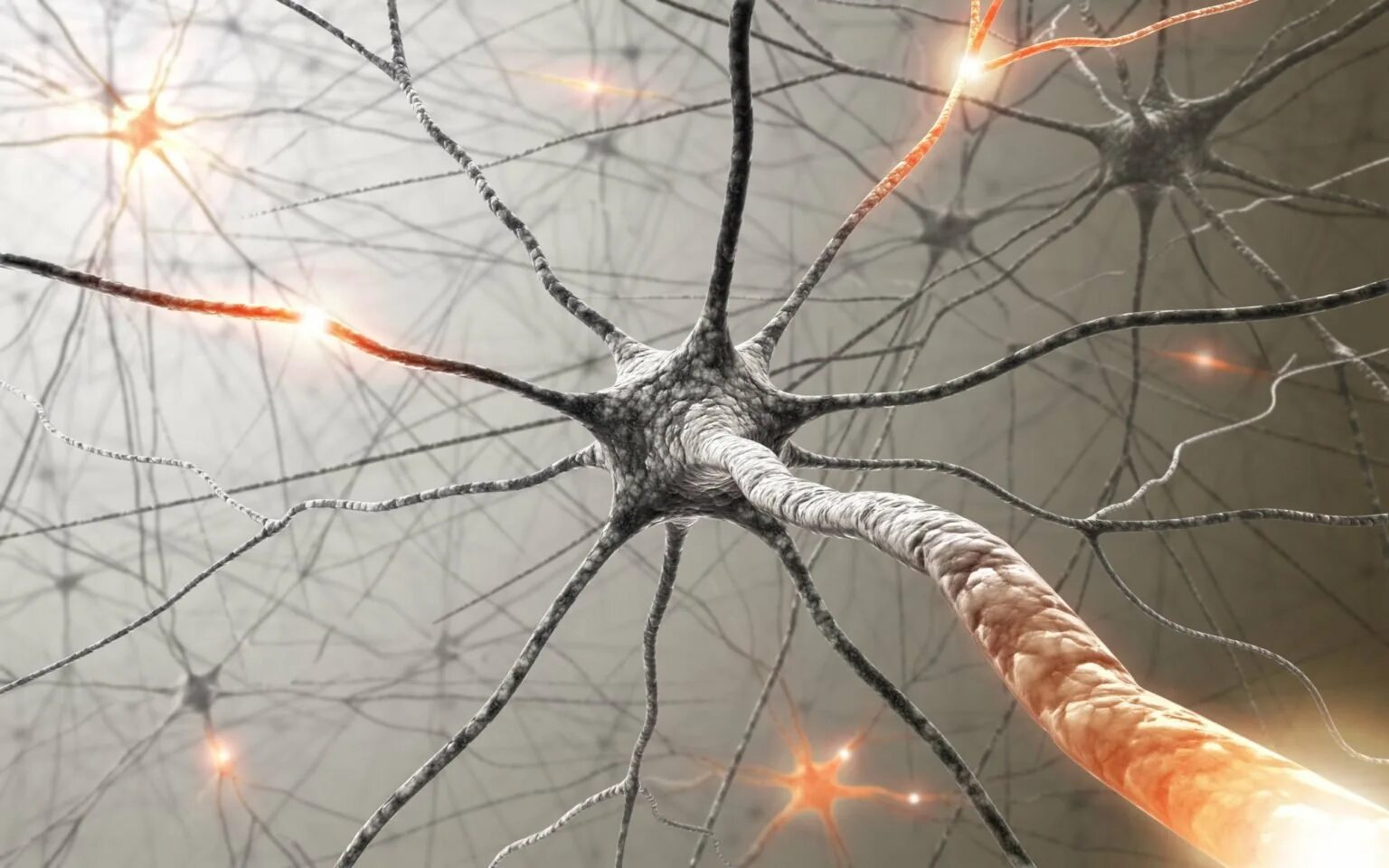 Разрушенная нервная система. Нейроны. Нейрон красивый. Нейроны головного мозга. Мозг в паутине.