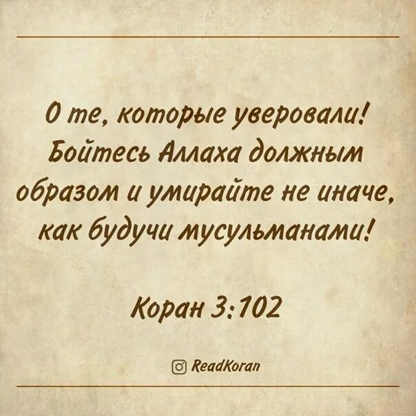 Бойтесь всевышнего. О вы которые уверовали. О вы которые уверовали бойтесь Аллаха. Люди которые уверовали. О те которые уверовали.