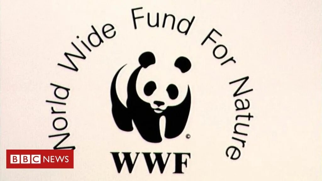 The world wildlife fund is. Всемирный фонд дикой природы WWF России. Всемирный фонд дикой природы WWF логотип. 11 Сентября - день рождения Всемирного фонда дикой природы (WWF). Эмблема фонда охраны дикой природы.