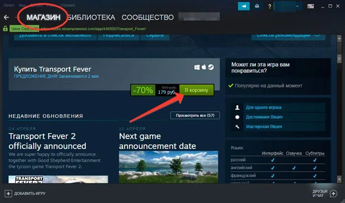 Купить игру в стим в россии
